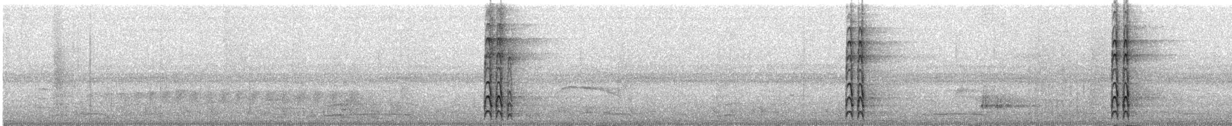 høvdingspett - ML637159564