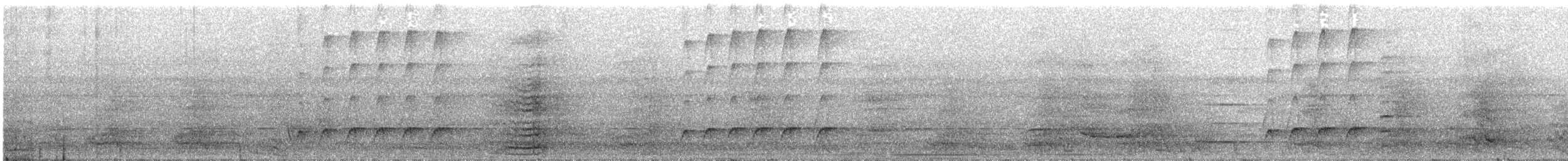 Dull-capped Attila - ML637160302