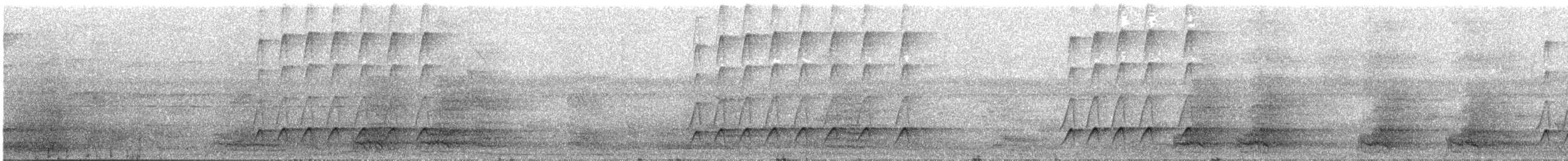 Dull-capped Attila - ML637160304