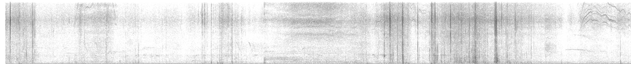 bird sp. - ML637161620