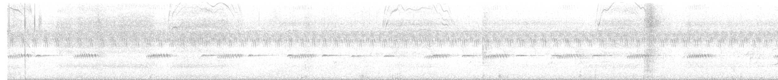 bird sp. - ML637162238