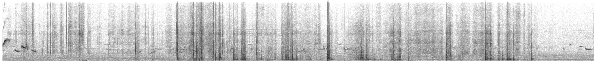 Scott's Oriole - ML637163186