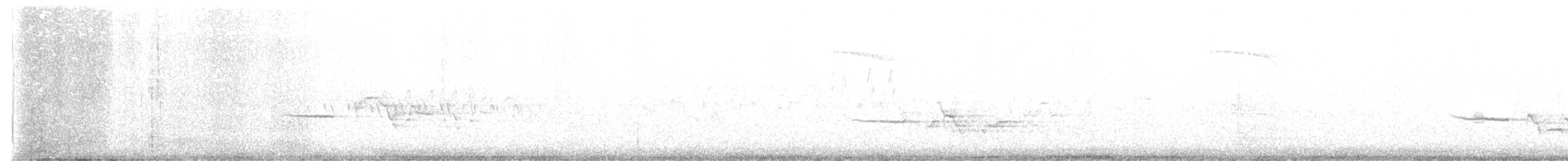 Hermit Thrush - ML637164187