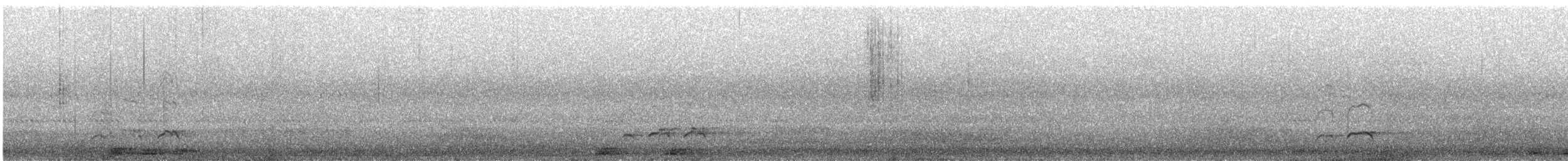 Spotted Thick-knee - ML637164889