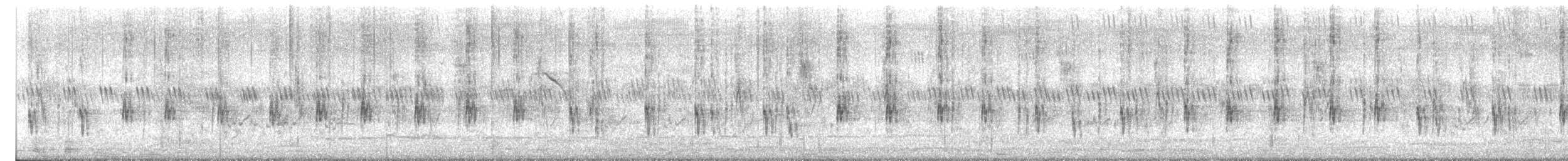 Striated Grassbird - ML637170173