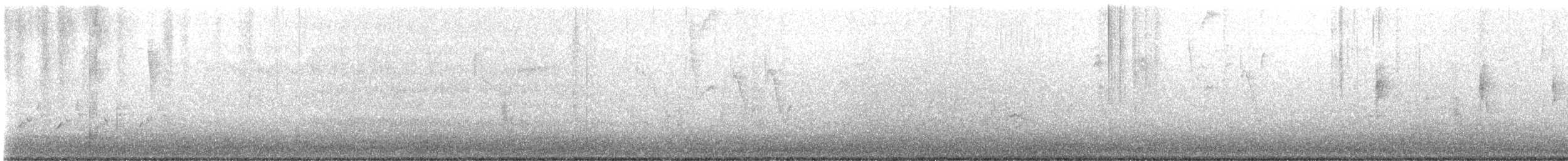 Northern Waterthrush - ML637170204