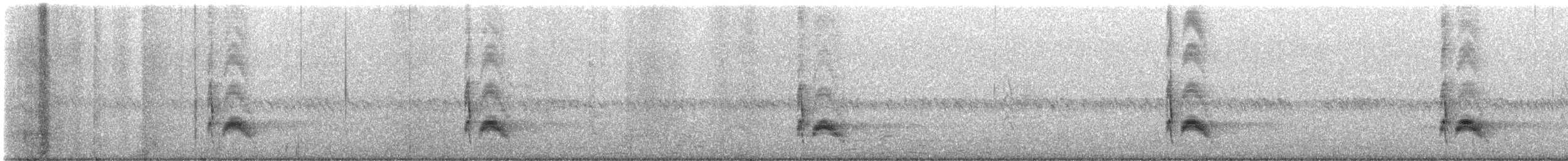 Cassin's Kingbird - ML637170879