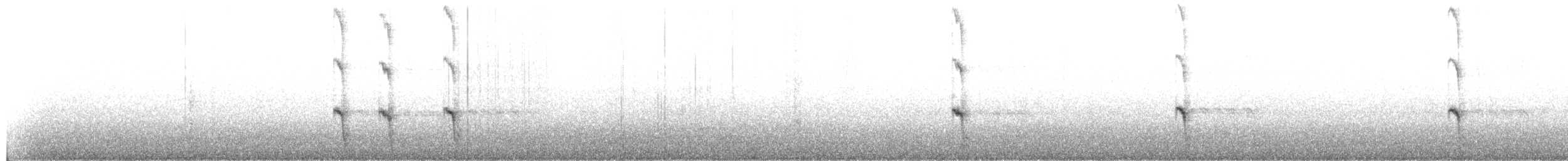 Boat-tailed Grackle (torreyi/alabamensis) - ML637171329