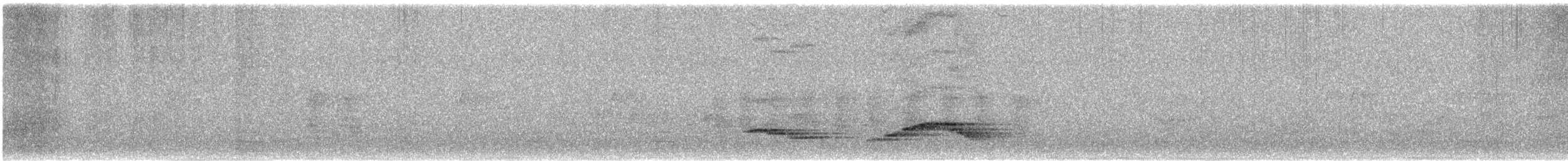 Merle à dos roux (rufopalliatus) - ML637172203