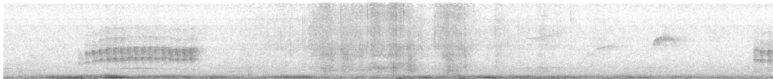 Black-capped Antwren - ML637173889