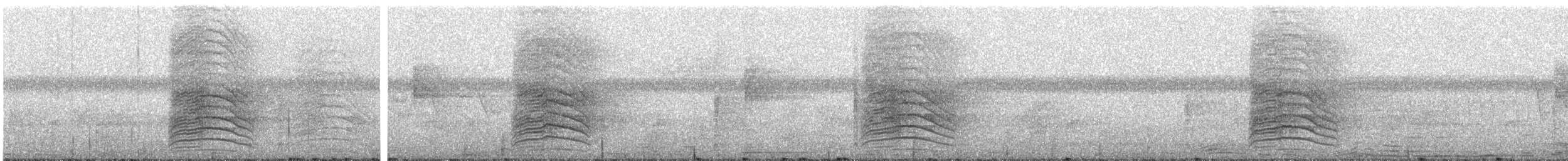 ネコマネドリ - ML637178943