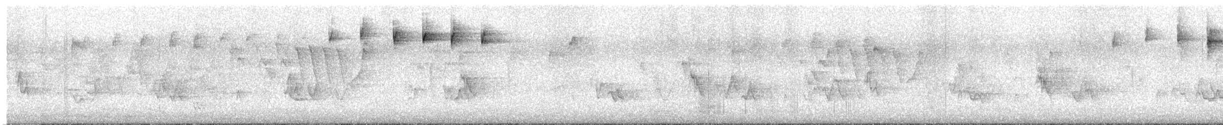 Blackpoll Warbler - ML637179029