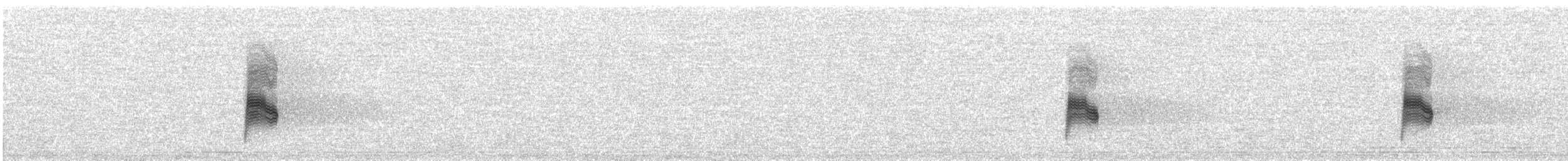Common Nighthawk - ML637179738