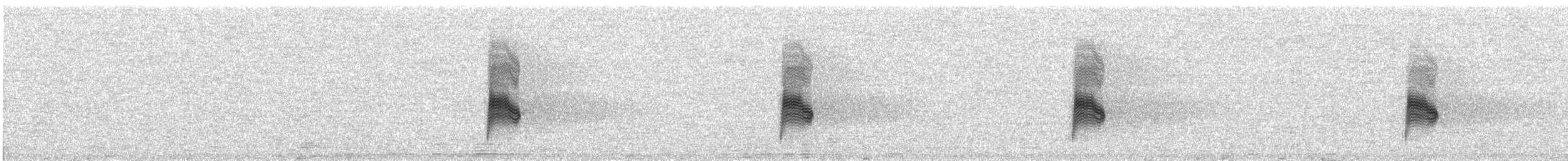Common Nighthawk - ML637179787