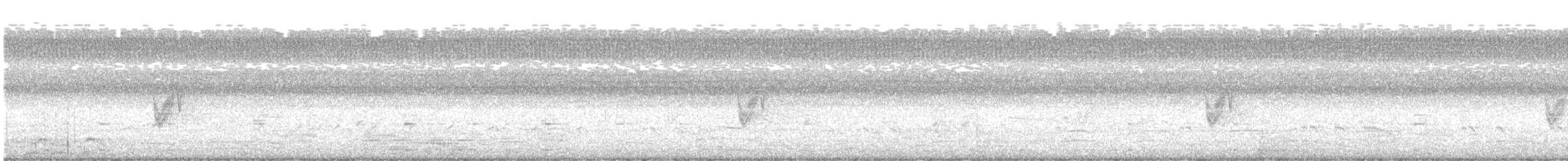 Savanna Nightjar - ML637179903