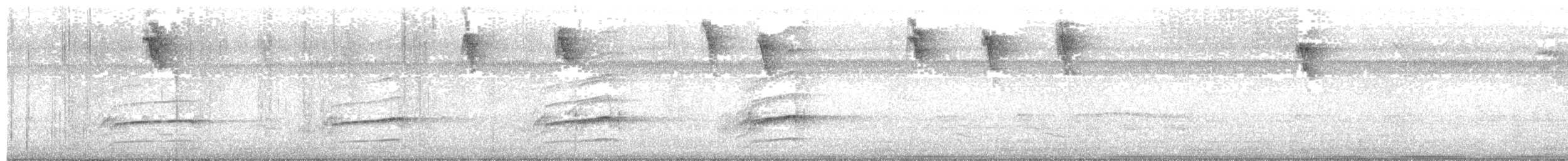 Blackish Rail - ML637181689