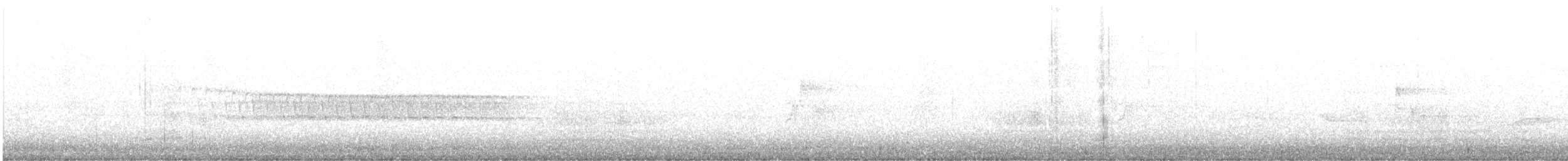 Pine Warbler - ML637182820