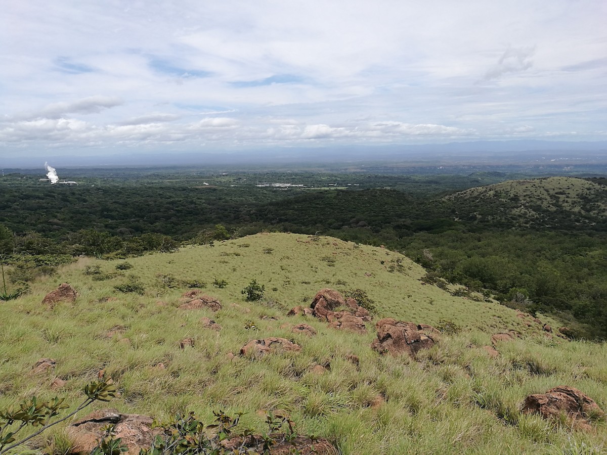 null - ML637184356