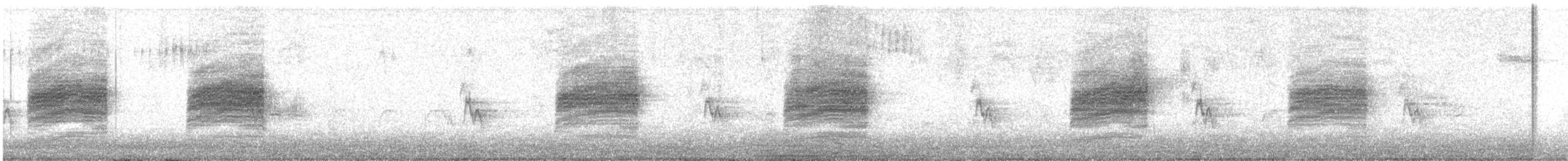 Bewick's Wren - ML637184575