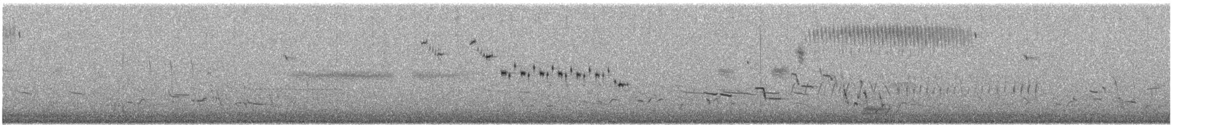 Bruant de Baird - ML637184826