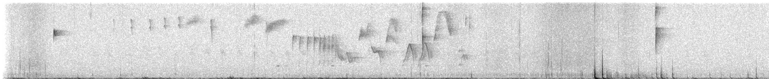 Tohi à nuque claire - ML637186522