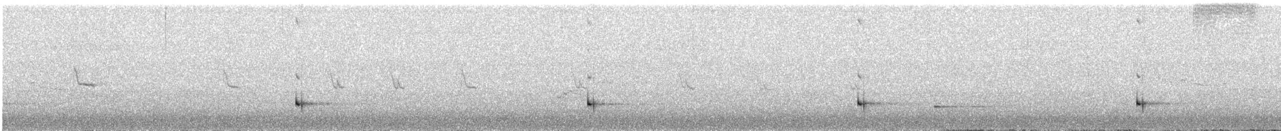 New Zealand Fernbird - ML637187624