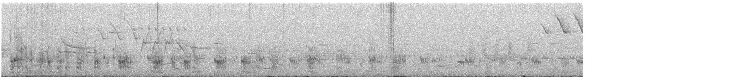 Pectoral Sandpiper - ML637187790