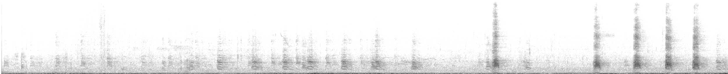 Barnacle Goose - ML637189508