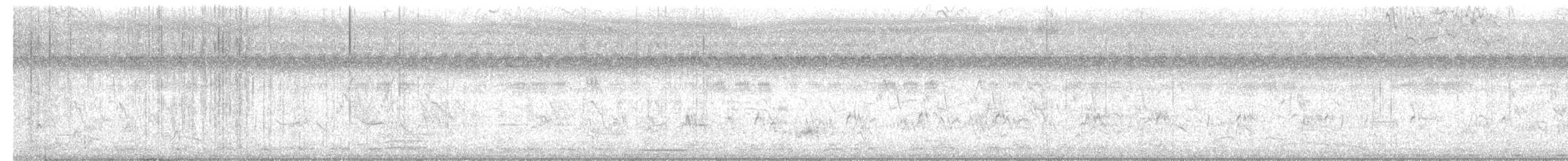 מין לא מוכר - ML637191482