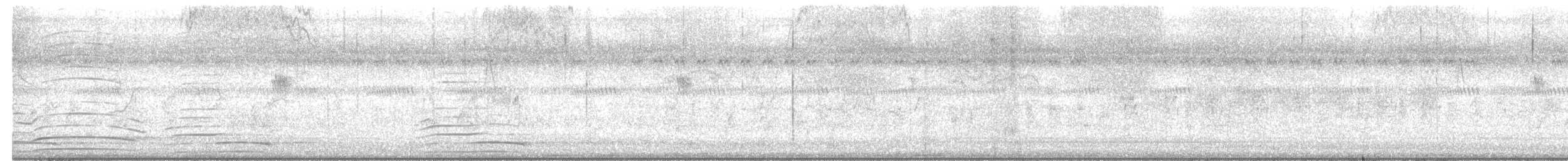 מין לא מוכר - ML637191500