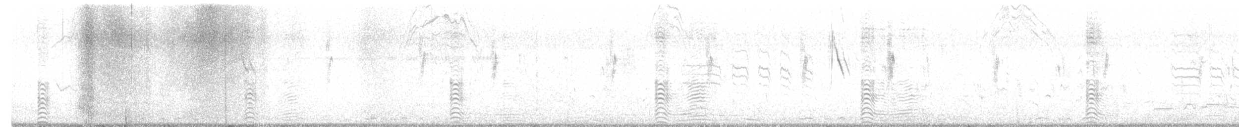 Talève à tête grise - ML637192010