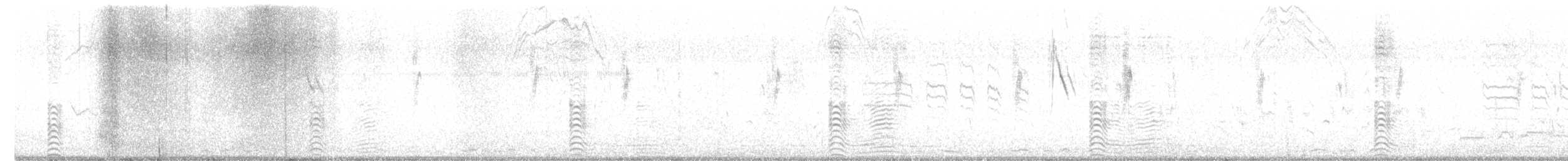 Talève à tête grise - ML637192011