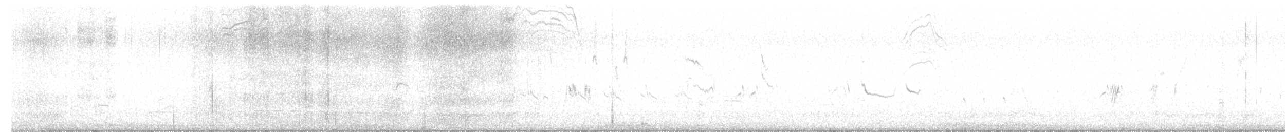 Talève à tête grise - ML637192430
