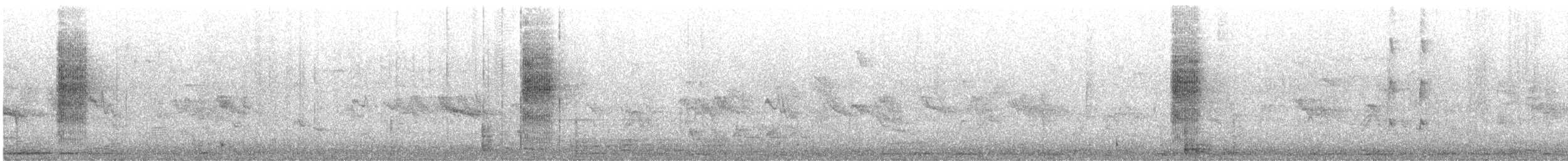 Common Reed Warbler (African) - ML637192466