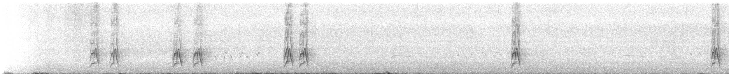 Méliphage à oreillons bleus (albipennis) - ML637192663