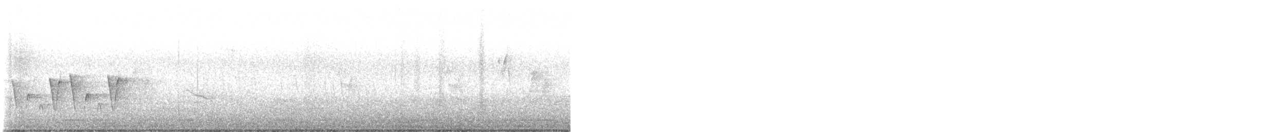 Connecticut Warbler - ML637193386