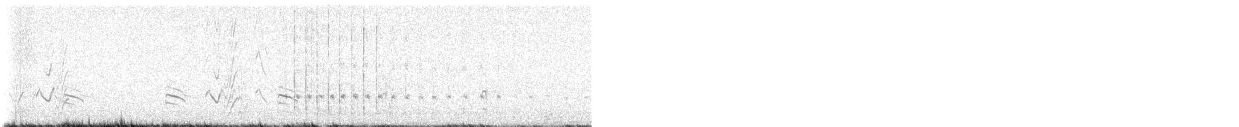 Pied Barbet - ML637193450