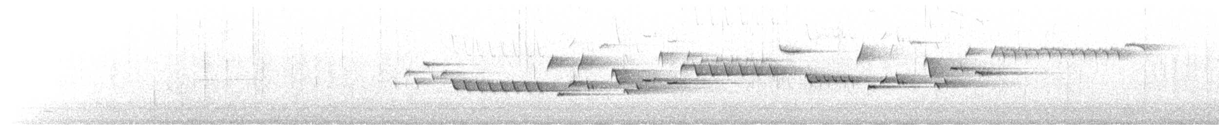 フユミソサザイ - ML637193745