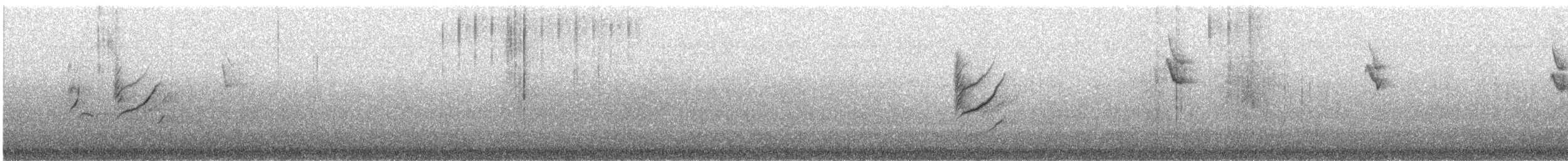 kappirisk - ML637194966