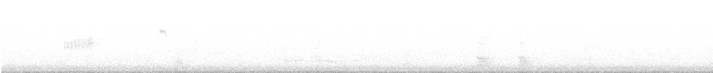 Хүнхэл тагтаа - ML637195112