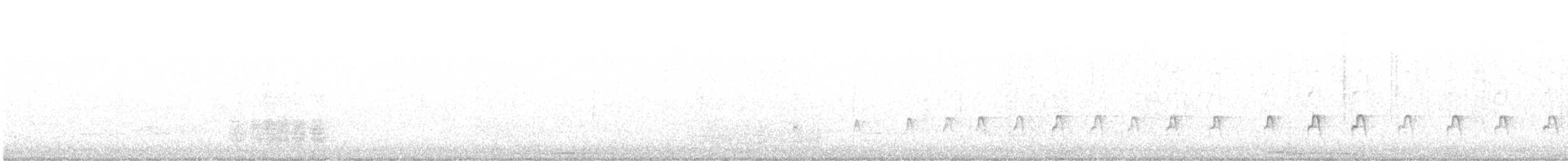 Eurasian Oystercatcher - ML637195117