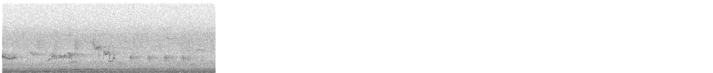 dudek chocholatý - ML637195127