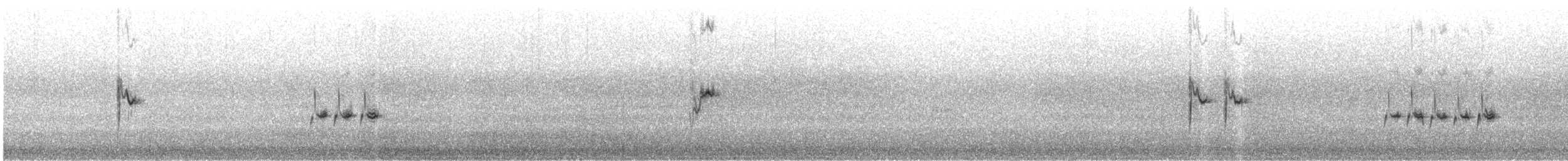 Cape Wagtail - ML637195236