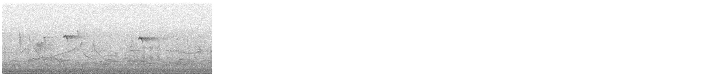 ledňáček říční - ML637195249