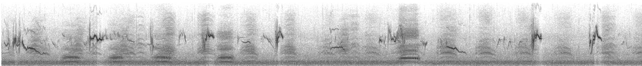 White-necked Raven - ML637195306