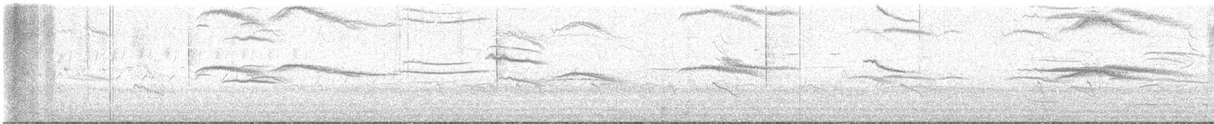 Black Guillemot - ML637195453