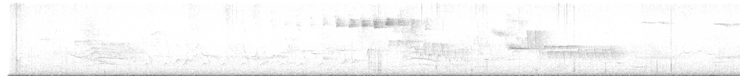 Blackpoll Warbler - ML637195723