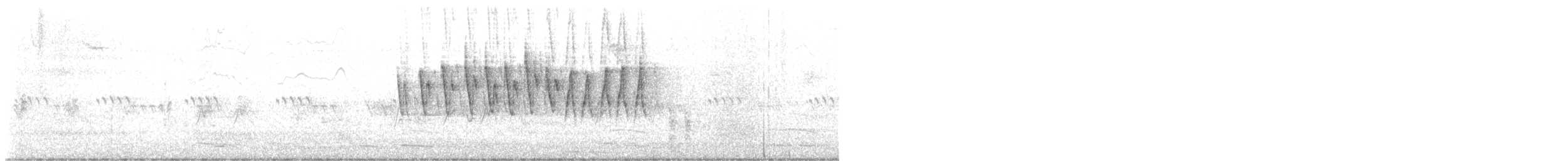 Wilson's Warbler - ML637196004