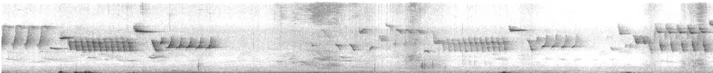 鷦鷯(troglodytes群) - ML637196691