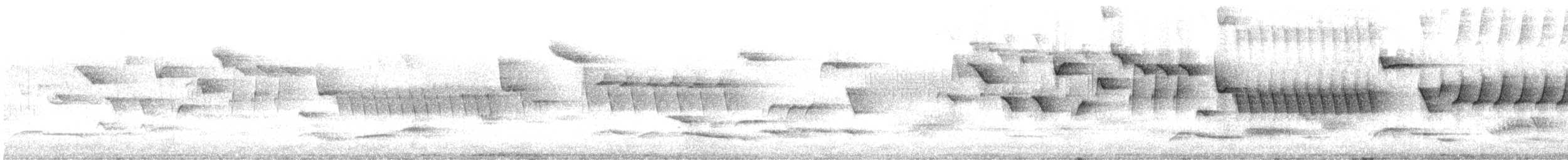 鷦鷯(troglodytes群) - ML637196785